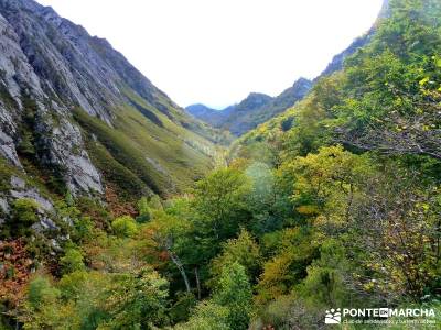 Hayedos Parque Natural de Redes;la barranca la panera el espinar findes